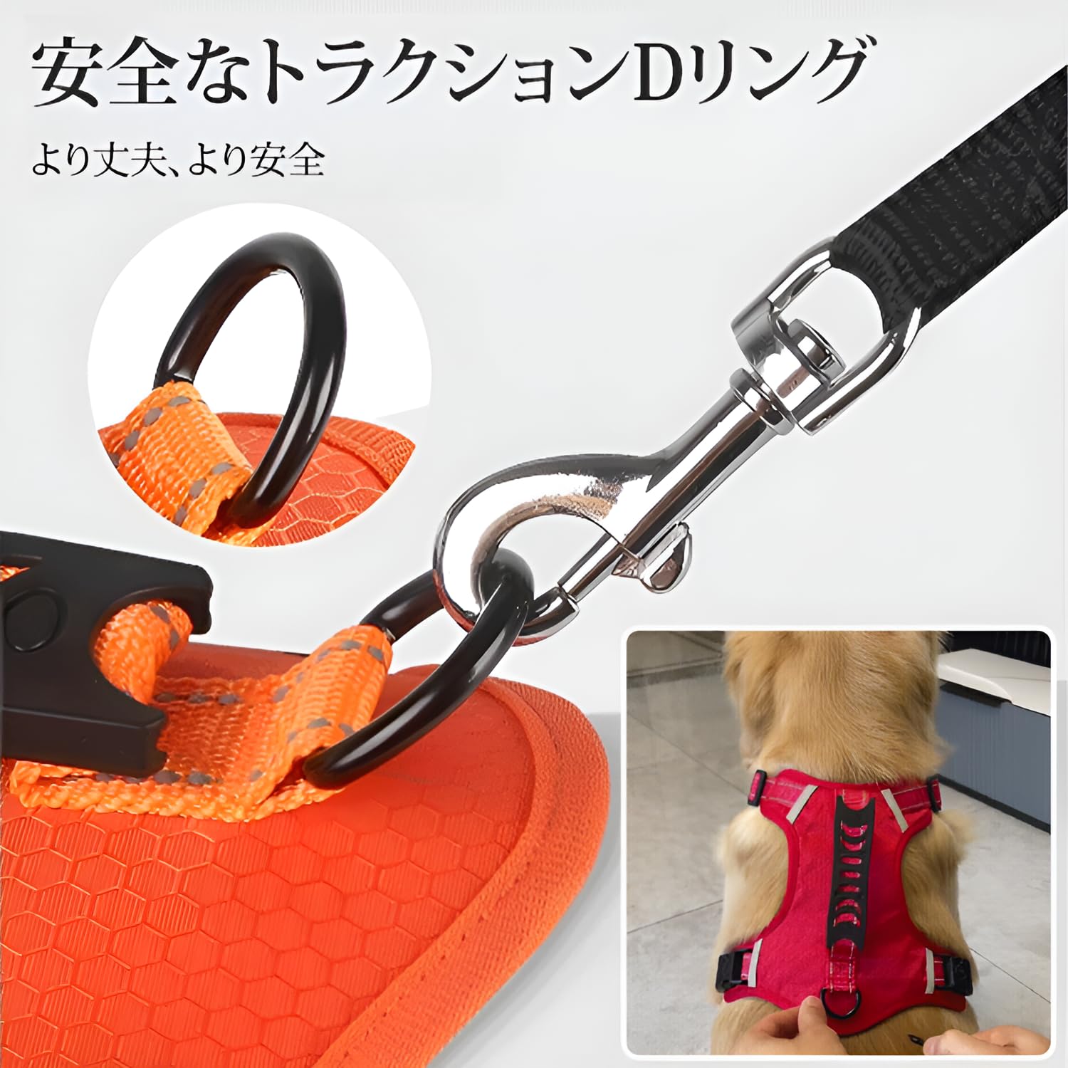 Amazon | [mocoly]【爆走防止ハーネス】 【大型犬用ハーネス
